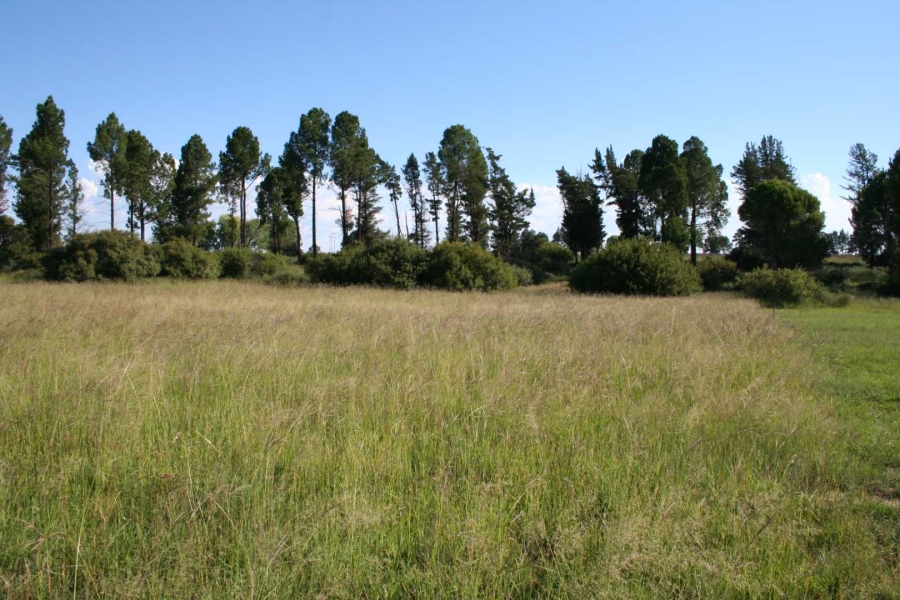 0 Bedroom Property for Sale in Willow Creek Riverfront Residential Estate Free State